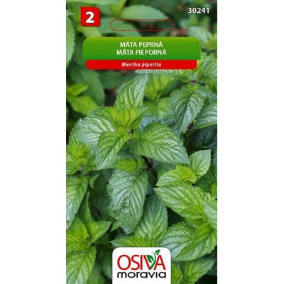 Máta peprná Seva Seed 0,05g