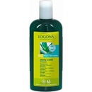 Logona Daily Care šampon Bio Aloe & Verbena 250 ml