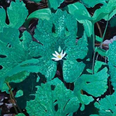 Early Fern - Early Fern - Wetland Interiors LP