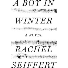 A Boy in Winter Seiffert Rachel