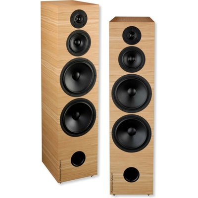Acoustique Quality Labrador 36