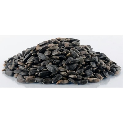 Biostan Slnečnica čierna 20 kg