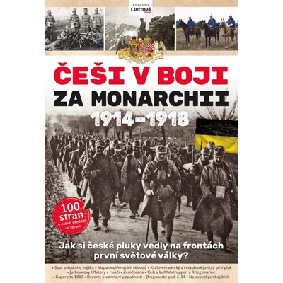 Češi v boji za Monarchii 1914-1918