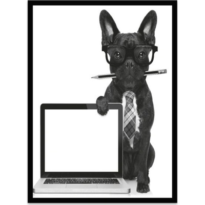Bondecor Obraz černobílý "Buldoček a PC" 24x30cm Barva: Bílá