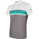 Sensor SUMMER STRIPE pánský krátky rukáv šedá/zelená