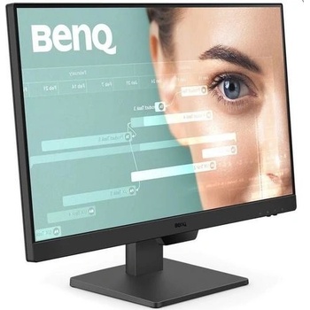 BenQ BL2490