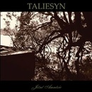 TALIESYN: JIZNI AMNESIE CD