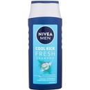 Nivea Men Cool Shampoo 250 ml