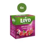 LOYD Tea пирамидалка червени боровинки + малини 6 x 40 г
