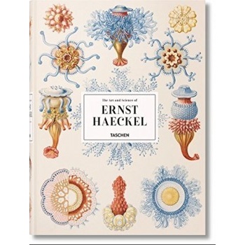 Haeckel