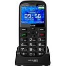 Mobilné telefóny Winner WG20C