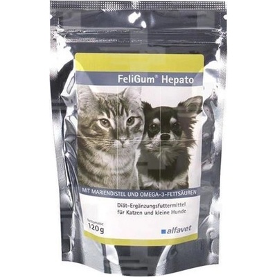 FeliGum Hepato žuv.tbl. 120 g 60 ks