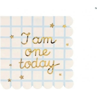 PartyDeco Ubrousky papírové I am one today Teddy Bear 33x33cm 20ks