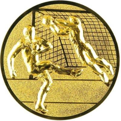 0500 Emblém fotbal