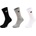 Champion 3pk crew socks 35-38
