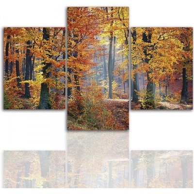 Divio Třídílný obraz na plátně podzim, vzor 12280 Velikost: 60x90 cm