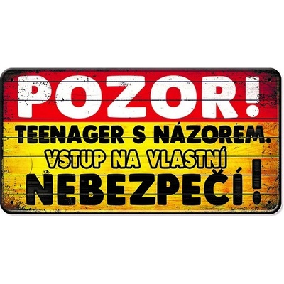 Nekupto Plechová cedulka Teenager s názorem – Hledejceny.cz