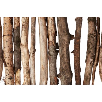 DIMEX ART s. r. o Флизелинов фототапет дървени клонки 375 x 250 см