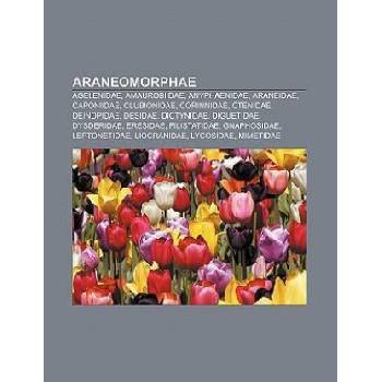 Araneomorphae