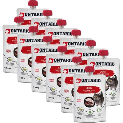 ONTARIO Cat агнешко вкусно месо паста 12 x 90 г