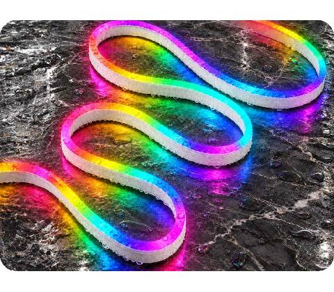 Spectrum WOJ+22971_ROLL