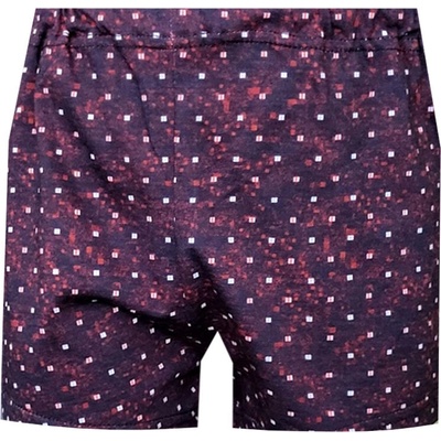 Foltýn dětské trenýrky DT144