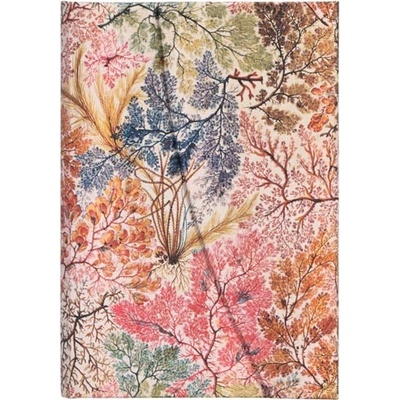 Anemone Mini