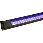 Hagen Marine Spectrum (5775)