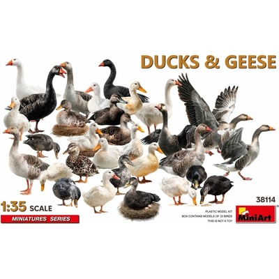 MiniArt Ducks & Geese 33 pcs. 1:35