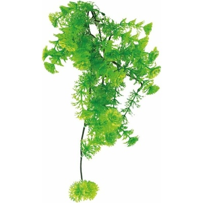 Lucky Reptile Horn Fern 40 cm