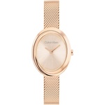 Calvin Klein CK25100153 Часовници