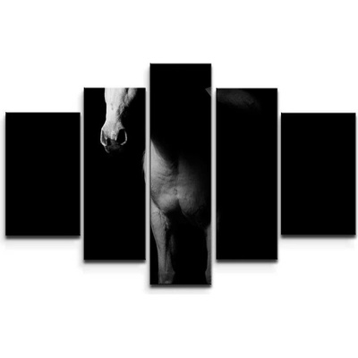 Sablio Obraz - 5-dílný Kůň ve stínu - 125x90 cm