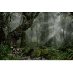 DIMEX ART Флизелинов фототапет гора в тъмнина 375 x 250 см