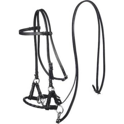 F.R.A. Bezudidlová Sidepull Pariba