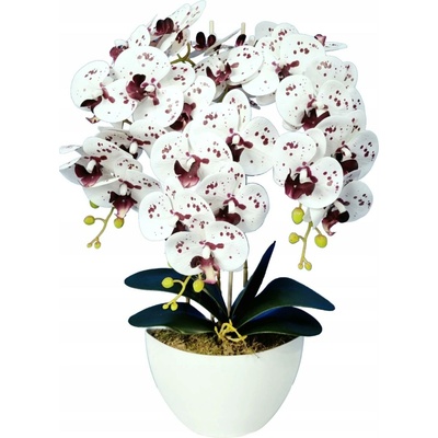 Květináčová rostlina orchidej Damich bílá 60 cm