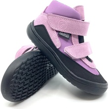 Jonap Look orchid