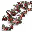 Repti Zoo rastlina Koleus Blumego 40 cm