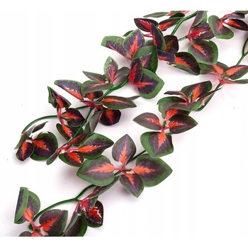 Repti Zoo rastlina Koleus Blumego 40 cm