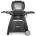 Weber Q 3200