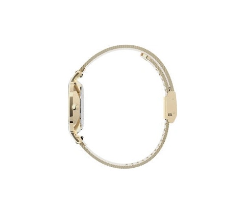 Timex TW2U86800