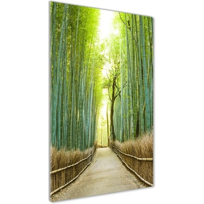 Vertikálny foto obraz sklenený Bambusový les 50x100 cm