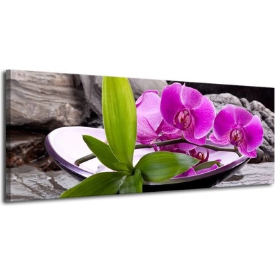 Obraz orchidej v nádobě plátno 1 100x40
