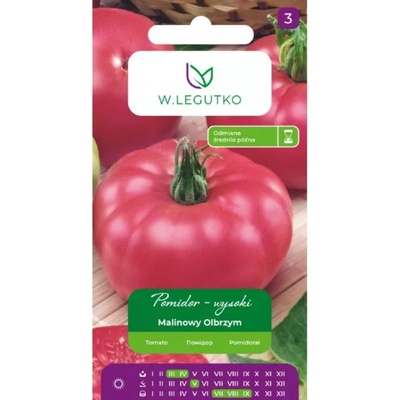 W. Legutko Malinowy Olbrzym (Малинов гигант) висок домати - много големи плодове, средно късен сорт
