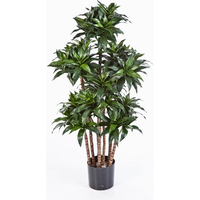 Luxusní umělá palma DRACAENA FRAGRANS COMPACT, 120 cm