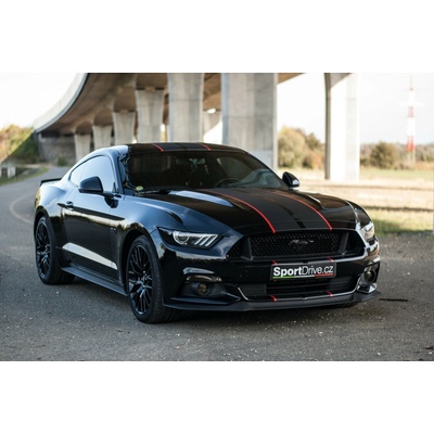 Ford Mustang GT 5.0 V8
