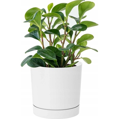 Prosperplast Květináč TUBO P 33,8cm bílý