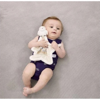 Rainbow Plyšový muchláček HARRY POTTER Sova Hedvika – Zbozi.Blesk.cz