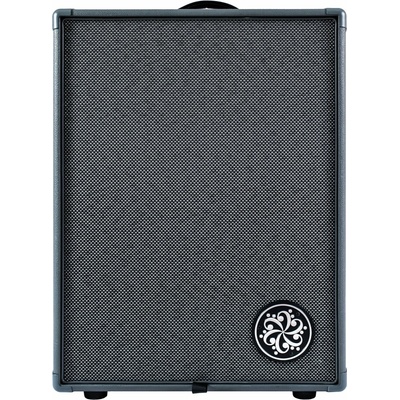 Darkglass DG210D Бас комбо