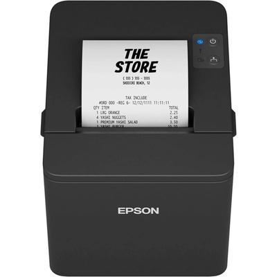 Epson TM-T20IV C31CL47101 – Hledejceny.cz