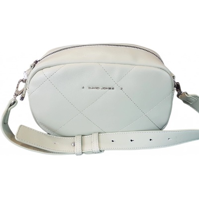 David Jones dámská kabelka crossbody 6726-1 Pale Green zelená